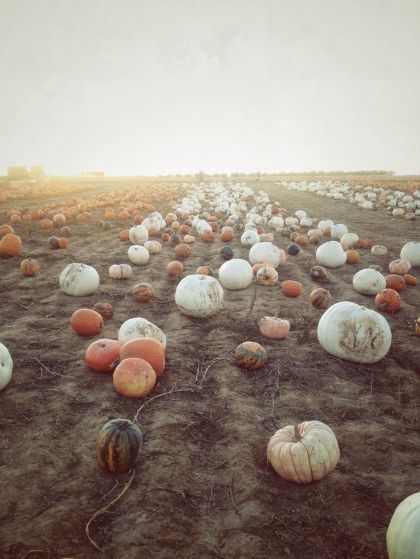 5efa76c4e5f4dbb15e93a2c1e0ad7d61