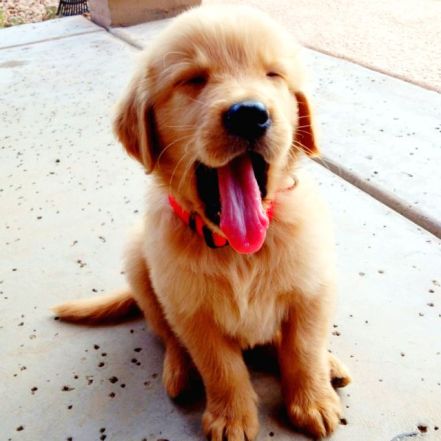 886cec75015c0396e00031ff8d31b859