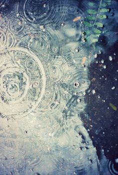 a65c55dc6ac5498518fe72f26a0a92fd