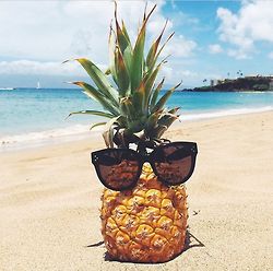 0c9e0d1f8f708676d5b70a8fa26a0663