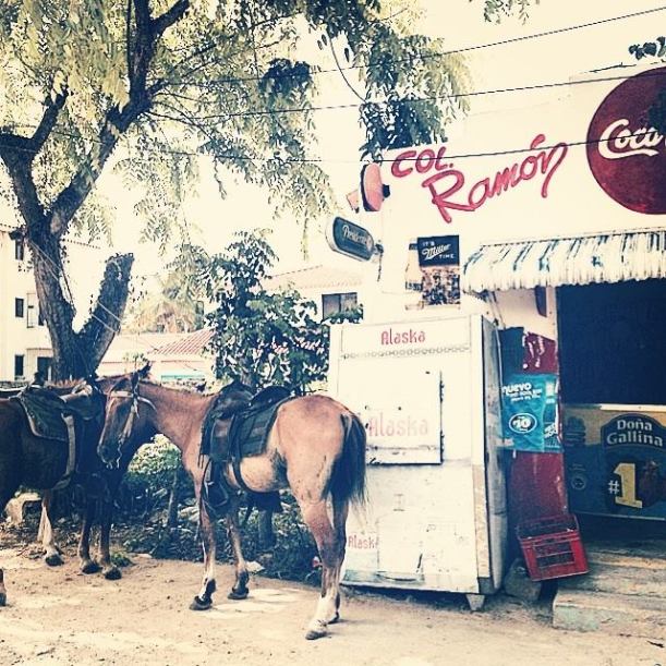 10553572_10153214347836029_4599464183949025211_n