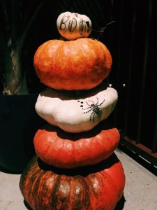 Processed with VSCOcam with c1 preset