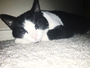 D4C0605E-9411-45DD-AEEB-B187B7D13629